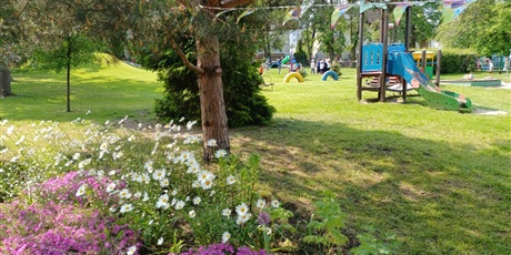 Powiększ grafikę: Ogródek przedszkolny