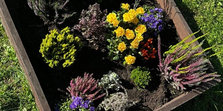 Powiększ grafikę: Sadzimy kwiaty