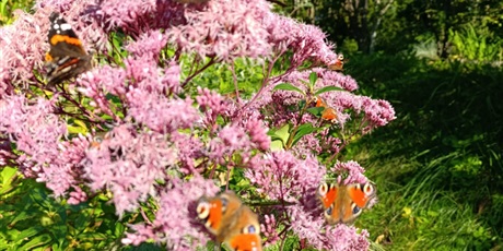 Powiększ grafikę: Obserwujemy przyrodę