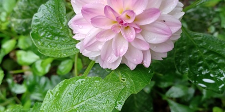 Powiększ grafikę: Obserwujemy przyrodę