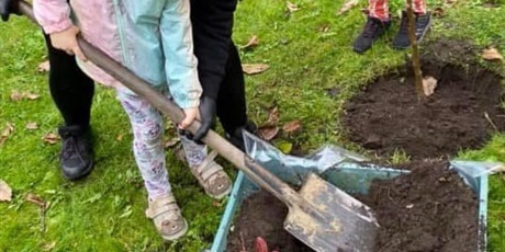 Powiększ grafikę: Sadzimy drzewa