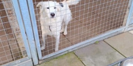 Powiększ grafikę: Uczymy wrażliwości