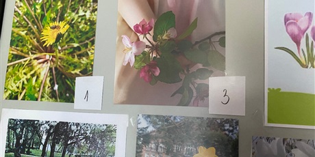 Powiększ grafikę: Zdjęcia konkursowe przedstawiające kwiaty